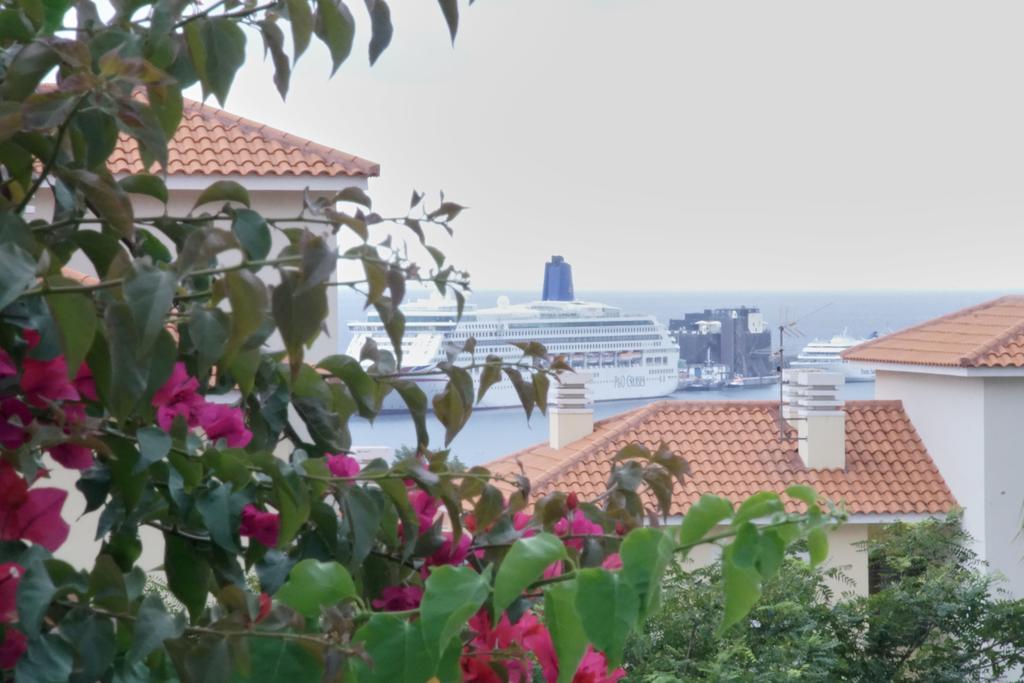 Carvalhal Old Town Apartment Funchal  Bagian luar foto